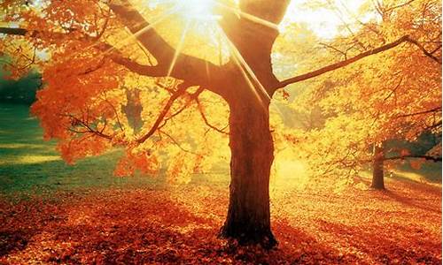 描写秋天的特点_描写秋天的特点词语
