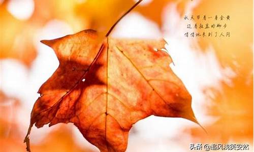 描写秋天的优美句_描写秋天的优美句子